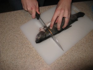 preparing trout