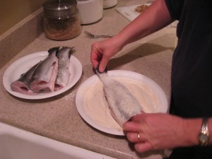 cooking trout