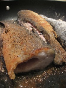 pan fried trout