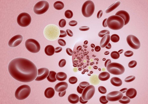 red blood cells vegetarian anemic eat meat
