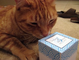 cat favor box cat favor box