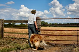 farmer why i became a vegetarian farmer why i became a vegetarian