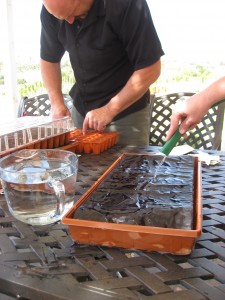 Burpee water