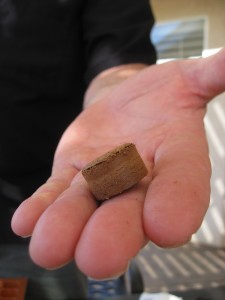 Burpee pellet
