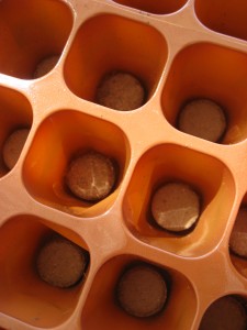Burpee pellets