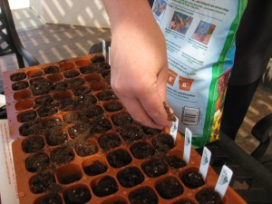 Burpee soil
