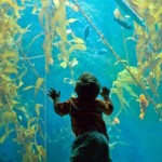 Go to the Aquarium