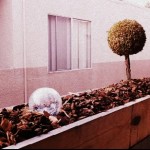 Artificial Garden