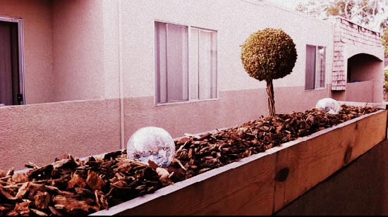 Artificial Garden