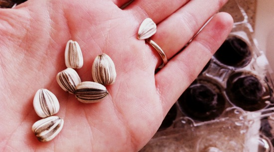 Gardening with Kids #GoGreenNGiggle #CBias