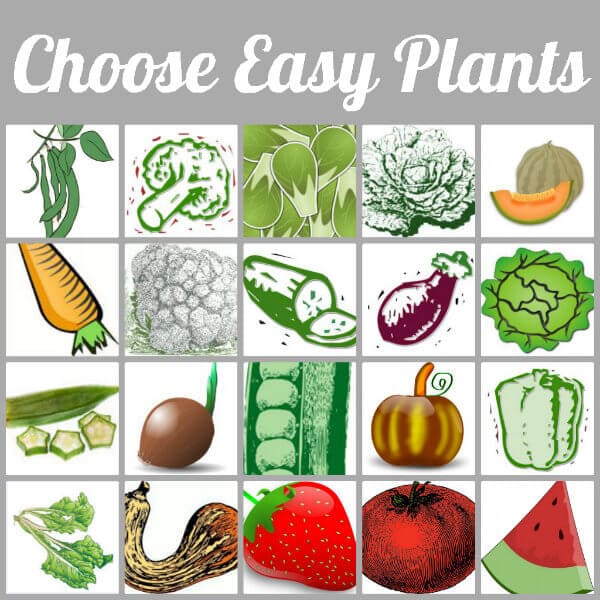 How to Plant a Spring Garden