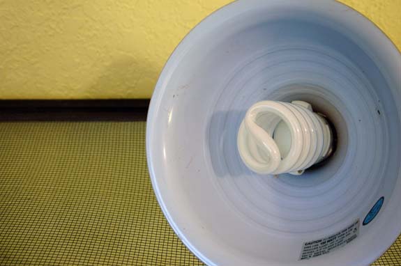 indoor seed starting bulb
