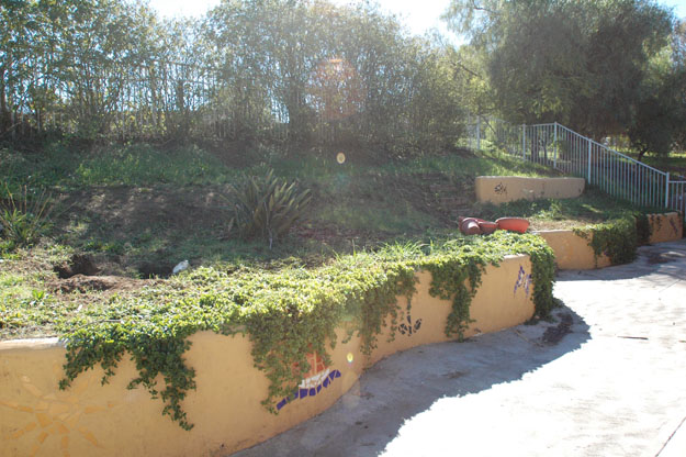 spring garden preparation