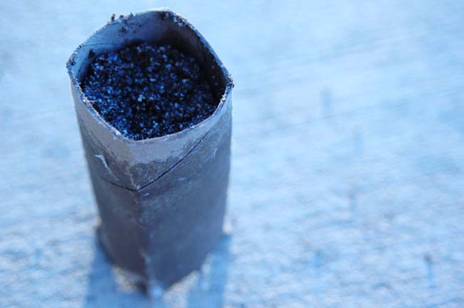 toilet paper roll seed starters