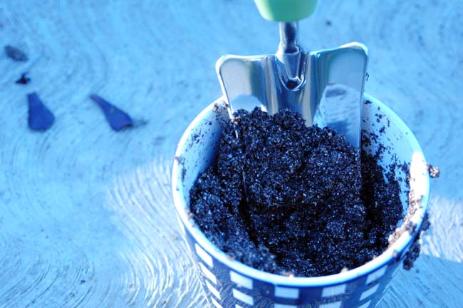 germinating soil