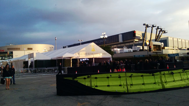 grammys red carpet experience5