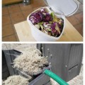 In-depth composting guide