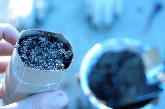 Toilet Paper Roll Seed Starters