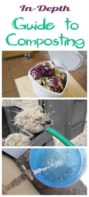 Composting Guide: The Dirt on Dirt