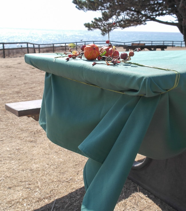 Picnic Tablecloth Solution Someday I'll Learn