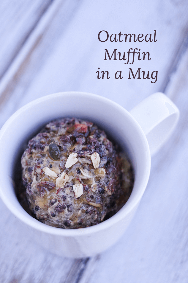 Oatmeal Muffin in a Mug Someday I'll Learn