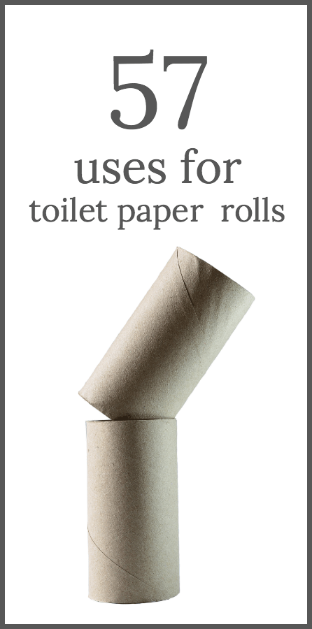 57 Ways to Reuse Toilet Paper Rolls - Someday I'll Learn
