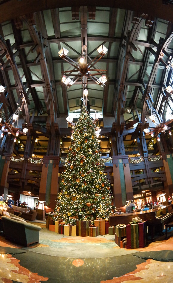 A Downtown Disney Christmas Someday I'll Learn