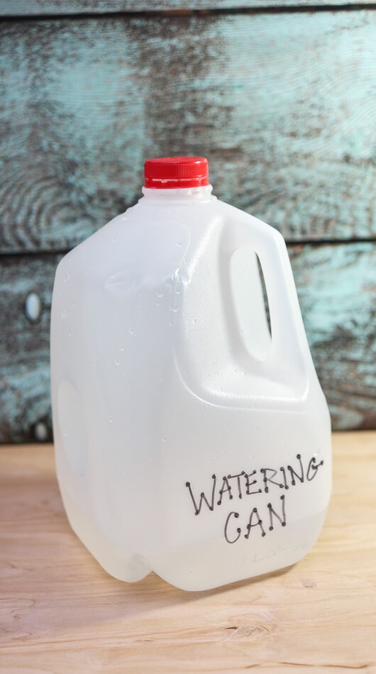 Milk Jug Watering Can Someday I'll Learn