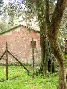 ghost house ghost house