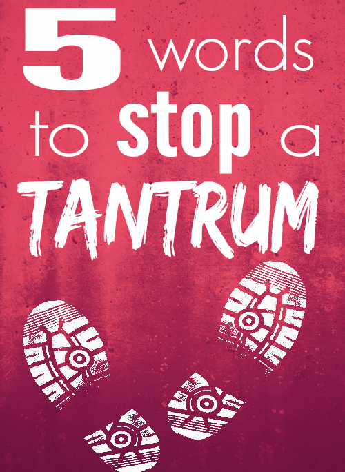 5 Words To Stop A Tantrum Someday I Ll Learn 5 Words To Stop A Tantrum Someday I Ll Learn